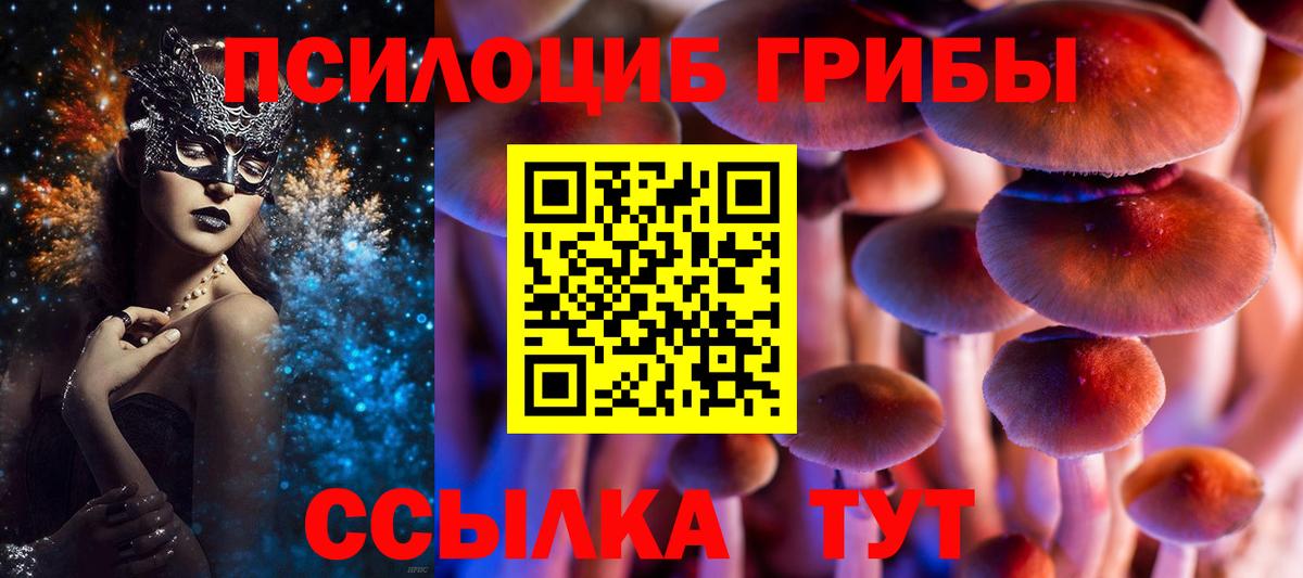 Псилоцибиновые грибы MAGIC MUSHROOMS  Вход с VPN  купить  цена  Псилоцибиновые грибы GOLDEN TEACHER  Волгодонск 