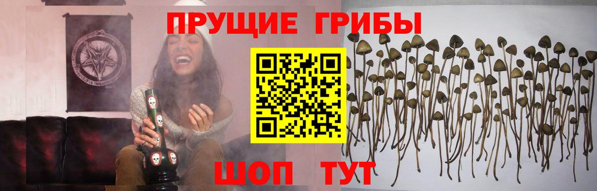 Галлюциногенные грибы прущие грибы Волгодонск